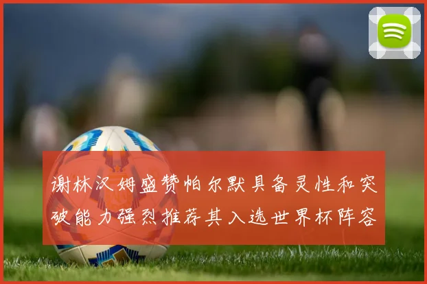 谢林汉姆盛赞帕尔默具备灵性和突破能力强烈推荐其入选世界杯阵容