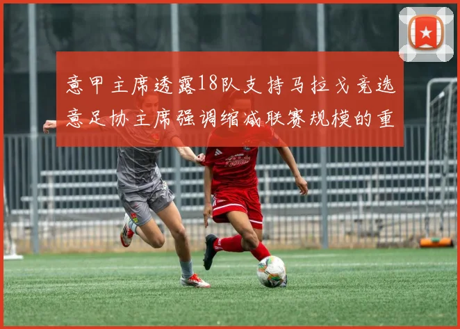 意甲主席透露18队支持马拉戈竞选意足协主席强调缩减联赛规模的重要性