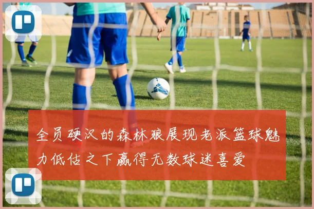 全员硬汉的森林狼展现老派篮球魅力低估之下赢得无数球迷喜爱
